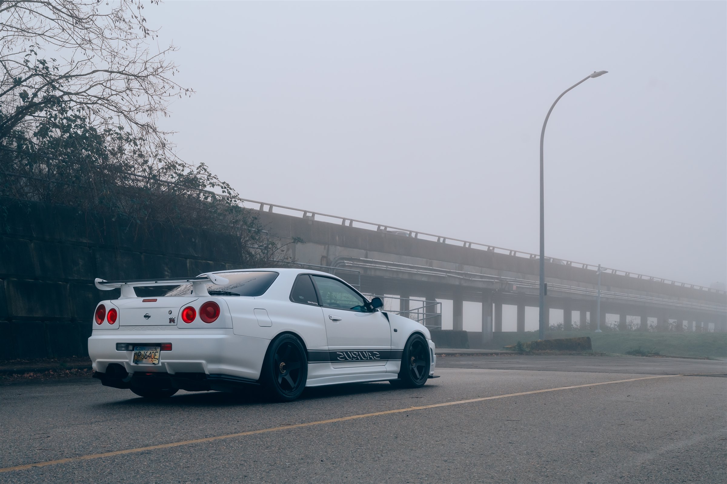 Garage Saurus Nissan Skyline GT-R R34 in the fog